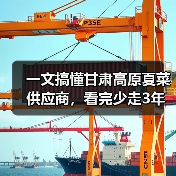 一文搞懂甘肃高原夏菜供应商，看完少走3年弯路