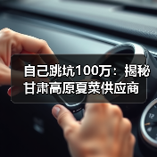 自己跳坑100万：揭秘甘肃高原夏菜供应商（图2）