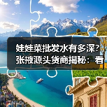 娃娃菜批发水有多深？张掖源头货商揭秘：看完少踩3年坑