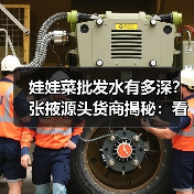 娃娃菜批发水有多深?张掖源头货商揭秘:看完少踩3年坑(图3) 娃娃菜批发水有多深?张掖源头货商揭秘:看完少踩3年坑(图3)