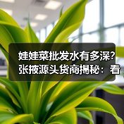 娃娃菜批发水有多深?张掖源头货商揭秘:看完少踩3年坑(图2) 娃娃菜批发水有多深?张掖源头货商揭秘:看完少踩3年坑(图2)