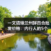 一文搞懂兰州鲜百合批发价格：内行人的5个避坑指南（图2）