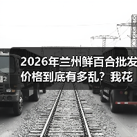 2026年兰州鲜百合批发价格到底有多乱?我花了3万块才搞明白(图2) 2026年兰州鲜百合批发价格到底有多乱?我花了3万块才搞明白(图2)
