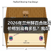 2026年兰州鲜百合批发价格到底有多乱?我花了3万块才搞明白(图3) 2026年兰州鲜百合批发价格到底有多乱?我花了3万块才搞明白(图3)