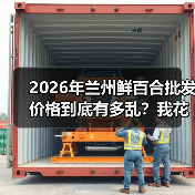 2026年兰州鲜百合批发价格到底有多乱?我花了3万块才搞明白(图4) 2026年兰州鲜百合批发价格到底有多乱?我花了3万块才搞明白(图4)