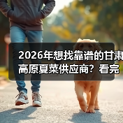 2026年想找靠谱的甘肃高原夏菜供应商?看完少走3年弯路(图2) 2026年想找靠谱的甘肃高原夏菜供应商?看完少走3年弯路(图2)
