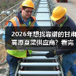 2026年想找靠谱的甘肃高原夏菜供应商?看完少走3年弯路(图3) 2026年想找靠谱的甘肃高原夏菜供应商?看完少走3年弯路(图3)