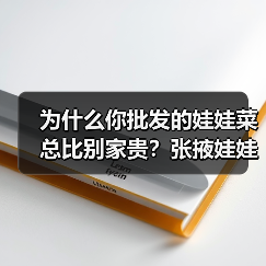 为什么你批发的娃娃菜总比别家贵？张掖娃娃菜批发避坑指南