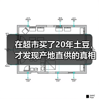 在超市买了20年土豆，才发现产地直供的真相