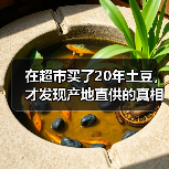 在超市买了20年土豆,才发现产地直供的真相(图2) 在超市买了20年土豆,才发现产地直供的真相(图2)