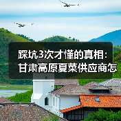 踩坑3次才懂的真相：甘肃高原夏菜供应商怎么选？（图4）