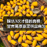 踩坑3次才懂的真相：甘肃高原夏菜供应商怎么选？（图2）