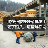 我在张掖娃娃菜批发上栽了跟头,这些坑你别再踩(图3) 我在张掖娃娃菜批发上栽了跟头,这些坑你别再踩(图3)