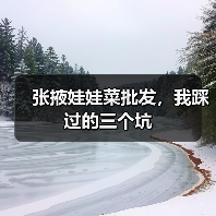 张掖娃娃菜批发，我踩过的三个坑（图2）