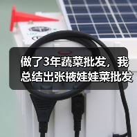 做了3年蔬菜批发，我总结出张掖娃娃菜批发的5个血泪教训（图4）